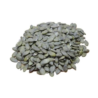 China Pumpkin Seed Competitive Price Bulk Supply Gws ​​Fresh High Quality Organic Pumpkin Seeds for sale