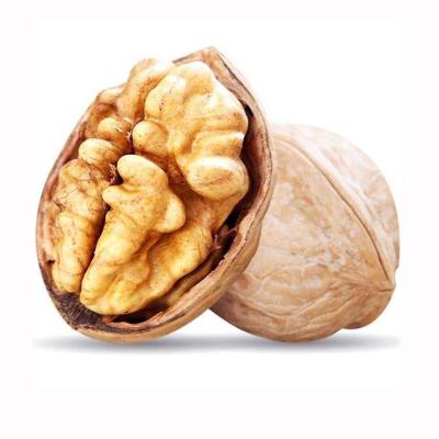 China Best Fresh Quality Full Of Nutrition Healthy Food Thin Skin Raw Walnuts for sale