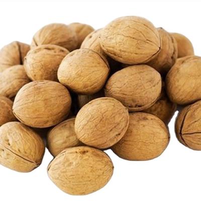 China Wholesale Price Fresh Delicious Slim Skin Pure Natural Volume The New In Shell Walnuts for sale