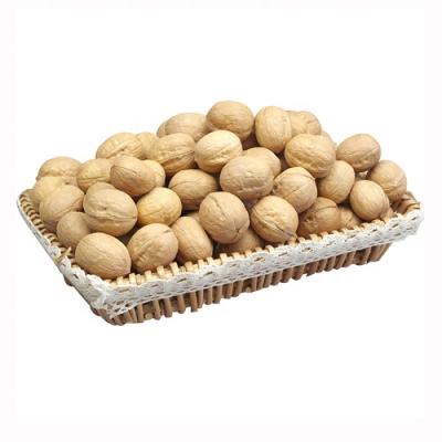 China Fresh Factory Supply Delicious Thin Skin Inshell Pure Natural Thin Skin Packing Raw Thin Walnuts for sale