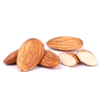 China Factory Hot Sale Raw Pure Natural Price Top Grade Dried Sweet Apricot Kernels for sale