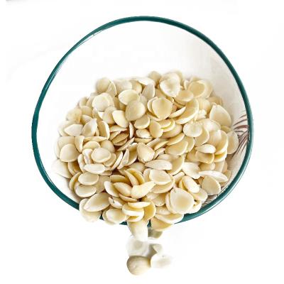 China Hot sale professional supplier factory price wholesale fresh de-ambered apricot kernels for sale