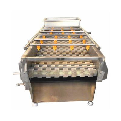 China Washing Stainless Steel Brush Roller Potato Radish Lotus Root Vegetable Washing Machine Fruit Continuous Seal For Restaurant for sale