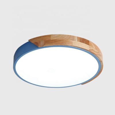 China New Round Blue SMD 2835 30CM 2019 Ultra Thin Shape Modern LED Outdoor Mounted Ceiling Lamp for sale