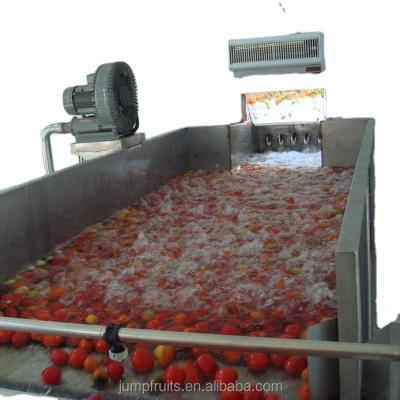 China Speed ​​Adjustable Capacity 2-50T Fruit And Vegetable Cleaning Wash And Sorter for sale