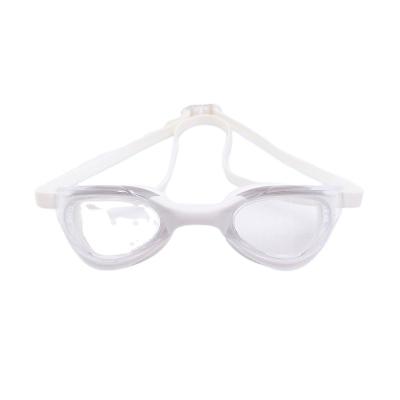 China Anti Fog UV Protection Waterproof Competition Goggles Profession Rimless Mirror for sale