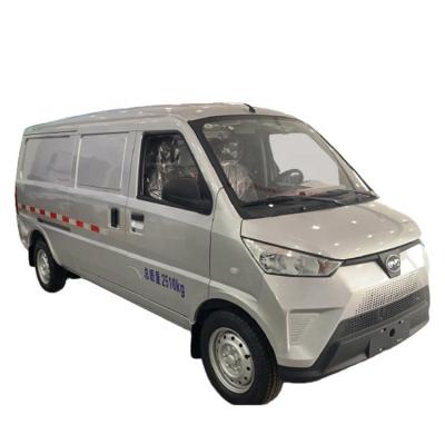 China Fabric Electric Cargo Van V50 for sale