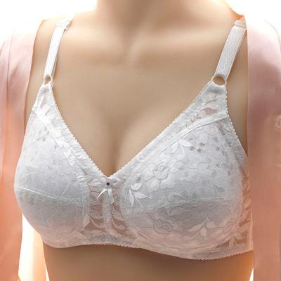 China Breathable Lace Bras For Women Wire Free Plus Size Lingerie Thin Cup Bra Eveyday Wear for sale