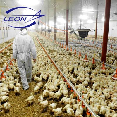 China Poultry Farm Leon Automatic Poultry Feeder for Broiler Chicken Farm for sale