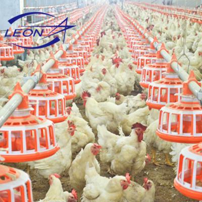 China Water Leon Automatic Breeder Chain And Pan Feeding System Poultry Drinker for sale