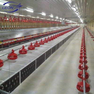 China Farms LEON Series New Design Poultry Farm Equipment For Broiler And Breeders for sale