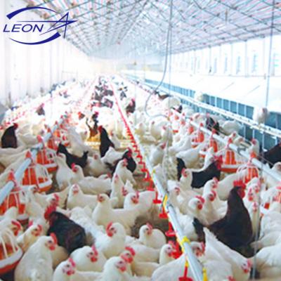 China Farms LEON Series Automatic Poultry Farming Equipment For Broiler Breeder Chicken for sale