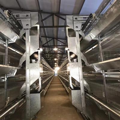 China Poultry Chicken Farm Leon Broiler Cage System 3 Rows for sale