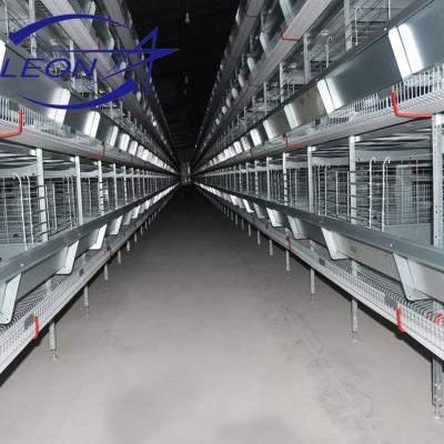 China Automatic Broiler Chicken Farm H Type Cage for sale