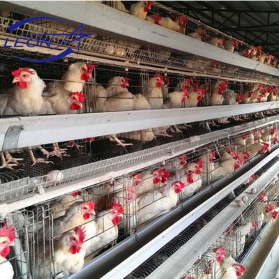 China Easily Assembled Full Automatic Broiler Cage Equipment for sale