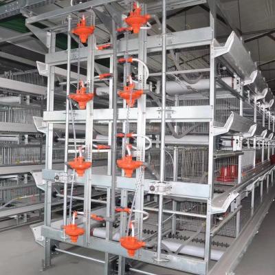 China H Type Broiler Chicken Farm Cage for sale