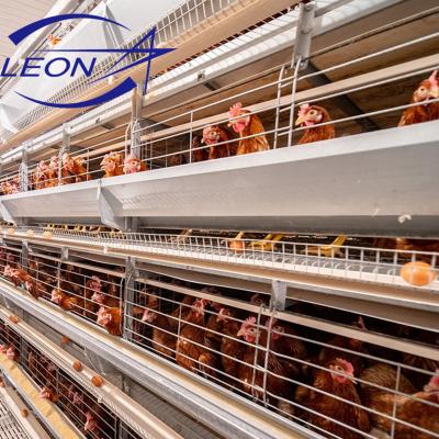 China Leon Layer Poultry Chicken Farm Cages Egg Chicken Poultry Farm for sale