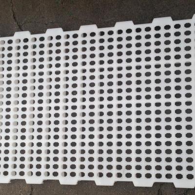 China Poultry Farm Poultry Slat Plastic Flooring Plastic Products For Poultry Farm for sale