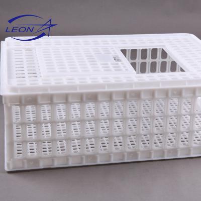 China Farms Leon Plastic Crate Hot Selling Cage For Little / Kid Chicken Delivery for sale