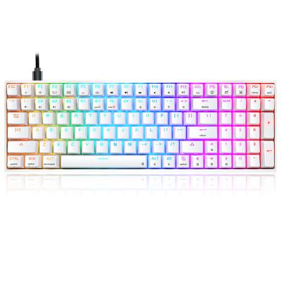 China ABS Plastic SK96 Double Pulled Keycaps RGB Optical Switches Hot-swappable Gaming Keyboards Gateron for sale