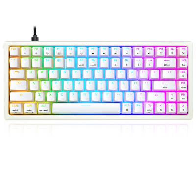 China SKYLOONG 2021 New Model 84 Key Gaming Keyboard Mechanical Keyboard Aluminum Optical Switch GK84 SK84 AK84 None for sale