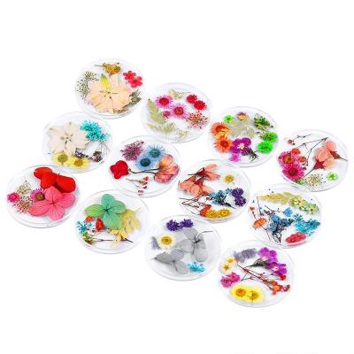 China 3D Dried Flower Nail Art Real Dried Flowers 10Pcs Dried Flower Nails Art Decorations Natural Floral Nail Charms Jewelry Set Nail Supplies For Professionals Accessories for sale