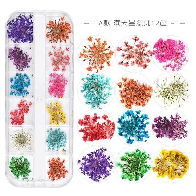 China Dried Flowers Nail Decorations Natural Floral Sunflower Dried Flower Set 300colors Nail Art Mixed Shape With Bottle 3D Dried Flower Nail Japanese UV Gel Nails Manicure Tips Charms for sale