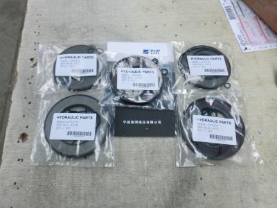 China Hydraulic Original Pump Parts A4vg Series Repair Kit with Oil Refund Policy Included for sale