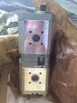 China Cast Iron Hydraulic Gear Pump Azpff-22-019/019LFP2020pb-S0925 with USD Payment Support for sale