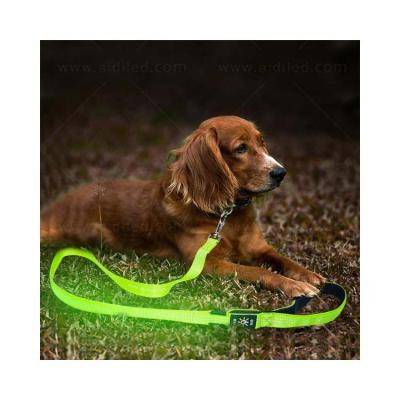 China 2021 New LED Pet USB Charging Glowing Dog Leash Comfortable Reflective Silk Nylon Strap Leash for sale