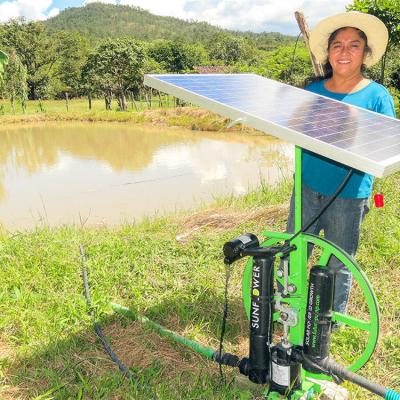 China Agricultural irrigation Farm Irrigator System 10HP 20Hp 30Hp Submersible heat pump solar powered swimming pools solar pump water solar pump system for sale