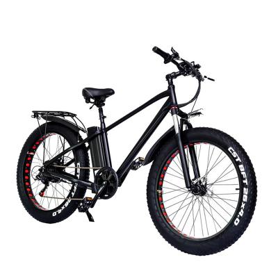 China EU Warehouse Adult Ebike 48V 20AH Battery 750W Dirtbike Electric Road Bikes Electric Bicycle For Adult Men for sale