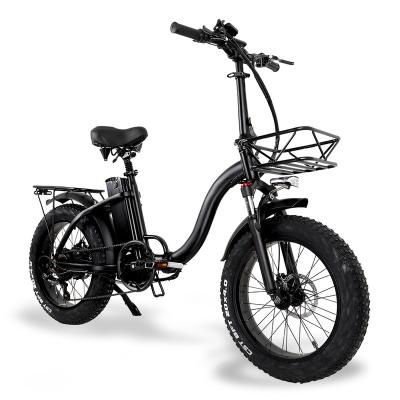 China Steel 750W 1000W EU Store Women's Electric Bike Drop Shipping Electric Bicycle Motorbike for sale