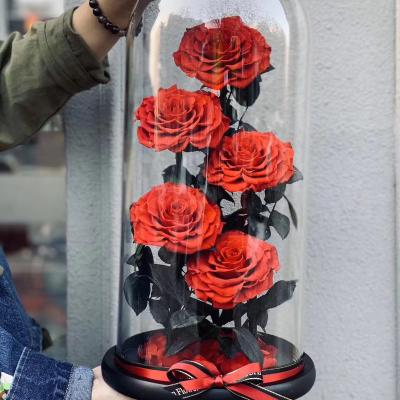 China Valentines Day Gifts Valentines Day Gift Eternal Eternal Naturales Eternal Extra Large Durable Glass Dome Eterna Preserved Flowers Preservadas Rosas for sale