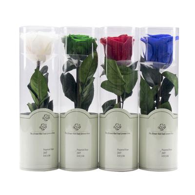 China Customized Wholesale Valentine's Day Gifts 23cm Leaves A Grade Single Lasting Everlasting Flowers Real Valentine's Day Gift Preserved Stem Roses for sale