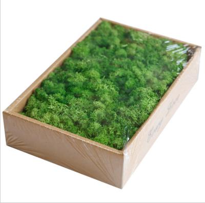 China Folk Art Amazon Hot Sales Preserved Real Grass Wall Art Moss Panel Real Grass Flat Airport Wall Decoration for sale