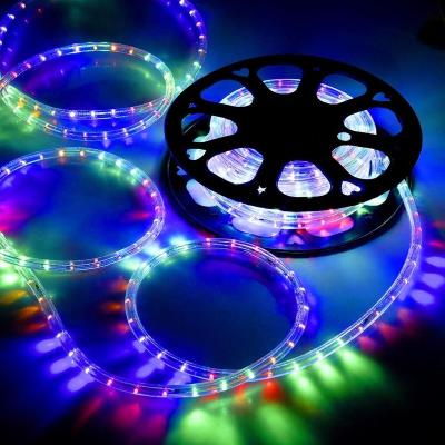 China Theme Park Chirstmas Holiday Home Decorate Waterproof LED Strip Light 100M RGB/Single Color Bluetooth 110V220V Led Rope Light for sale