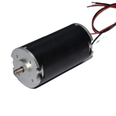 China Waterproof 12V 24V Brushed 42*80mm Smart Home Furniture 42ZY DC Tuber Motor for sale