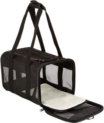 China 2022 New Portable Mesh Pet Travel Carrier for sale