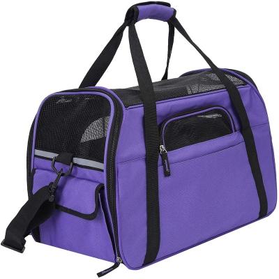 China 2022 New Portable Mesh Pet Travel Carrier for sale