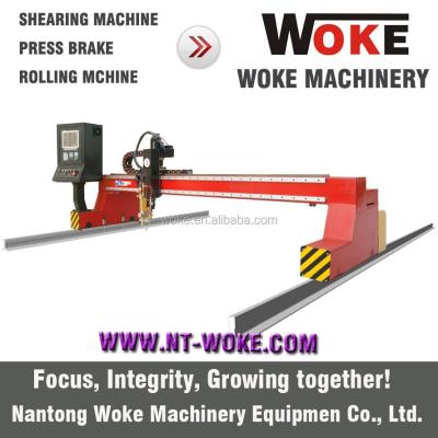 China Flame and Plasma CNC Control Plasma Cutting Machine WKDM-4080-H for sale