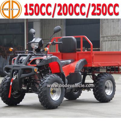 China Factory Boded Quality Assured Gas Powered Kids Build Your Own ATV Kits 250x100x118cm for sale