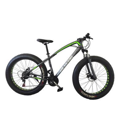 China 2021 Wholesale Aluminum Alloy Hot Sale Snow Tire Bike for sale