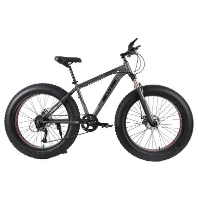 China 2022 hot sale steel fat bike for sale for sale