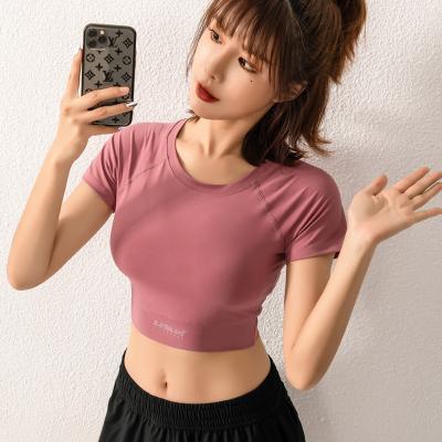 China Breathable Women Active Wear Yoga Crop Tops Sports Solid Loose Short Sleeves T-shirt Casual Fitness Clothing for sale