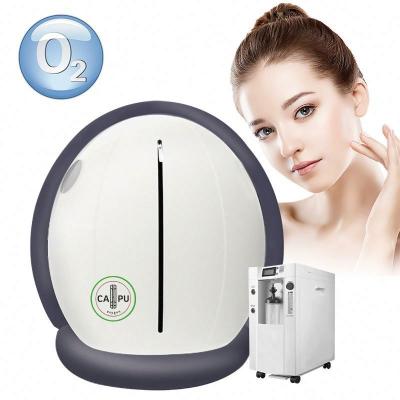 China Portable Chinese Supplier Skin Care Beauty Salon Equipment Beauty Chamber for sale