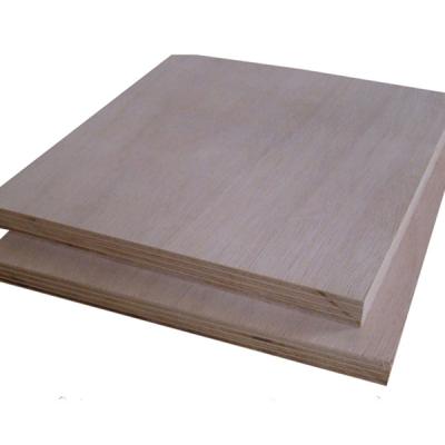 China 18mm thick industrial plywood / 4x8 plywood 20mm cheap plywood for furniture for sale