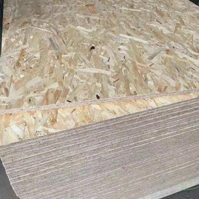 China Contemporary Cheap Plywood 9mm 12mm 15mm 18mm OSB 3 OSB 2 (Oriented Strand Board) OSB for sale