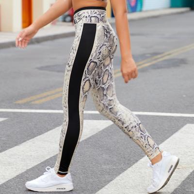 China 2021 Snakes Pattern Breathable Activewear Pants Fitness Gaiters Exercise Clothes Gaiters Workout Yoga Gaiters Gym Pants for sale