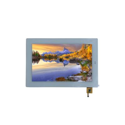 China 1920x1200 10,1 inch display Tft LCD capacitieve touchscreen display paneel 45pin LVDS Te koop